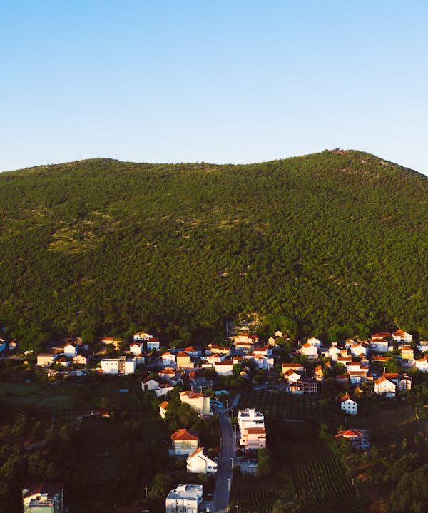 Welke taal spreken ze in Bosnië?