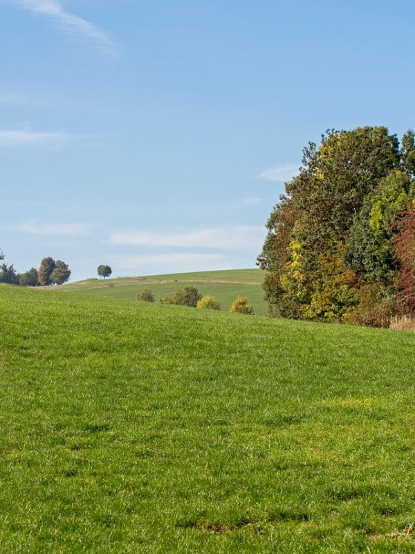 Wandelen, fietsen of een grot bezoeken in Zuid-Limburg: wat past bij jouw dag?