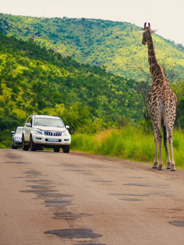 Heb je echt een 4x4 nodig voor een roadtrip door Afrika