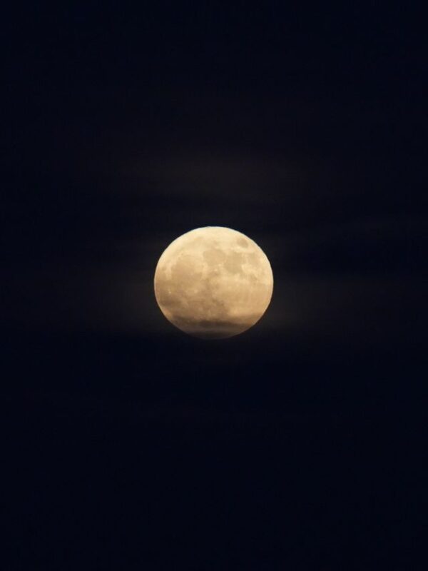 Volle maan november 2026